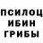 Галлюциногенные грибы мицелий kApS