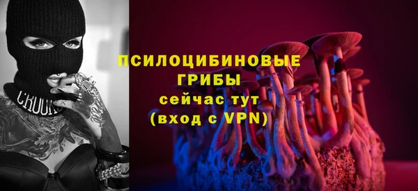 МДПВ Алексин