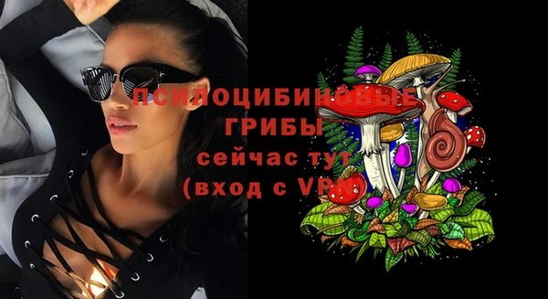 МДПВ Алексин