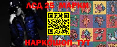 спиды Кинель